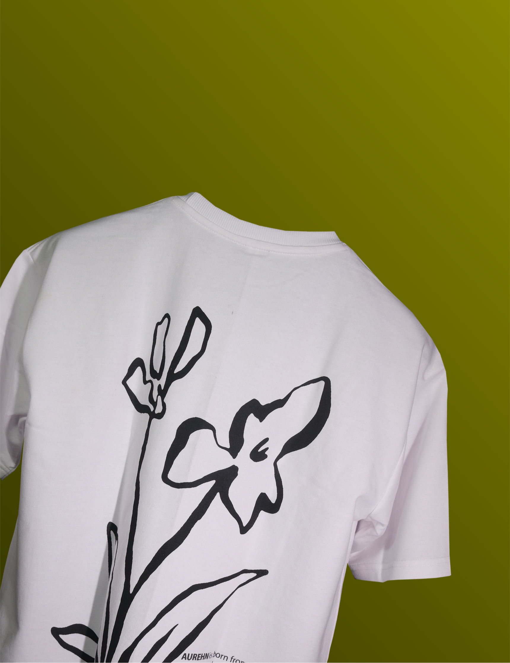 Hand drawing aurehn ￼